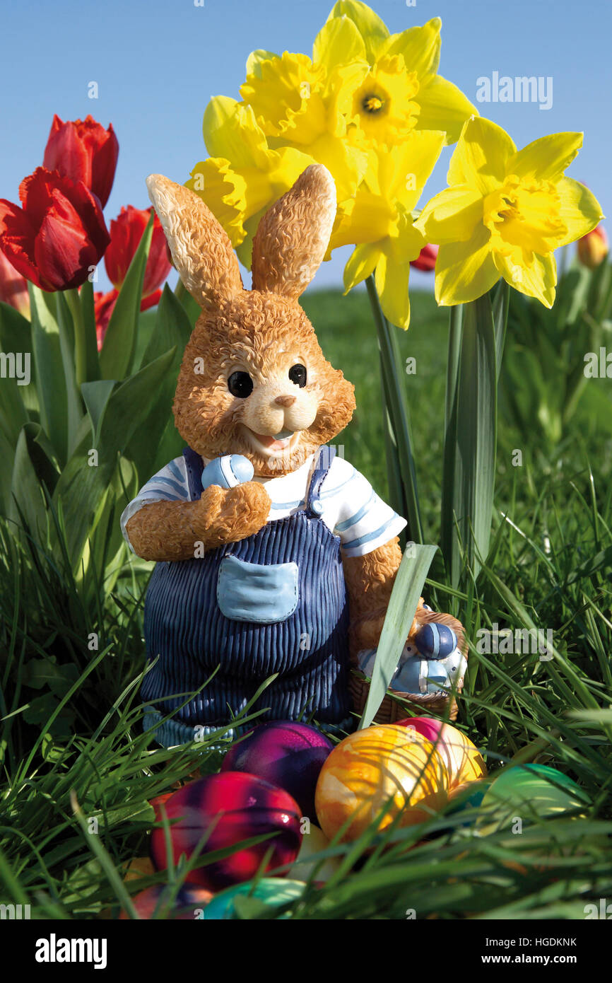 Easter bunny in a meadow with daffodils and tulips Stock Photo - Alamy