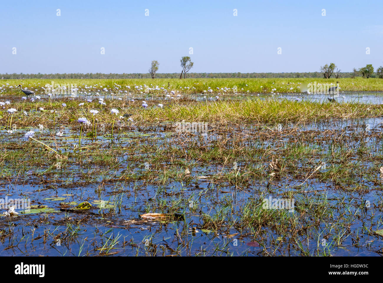 Kakadu National Park (Northern Territory Australia) Stock Photo