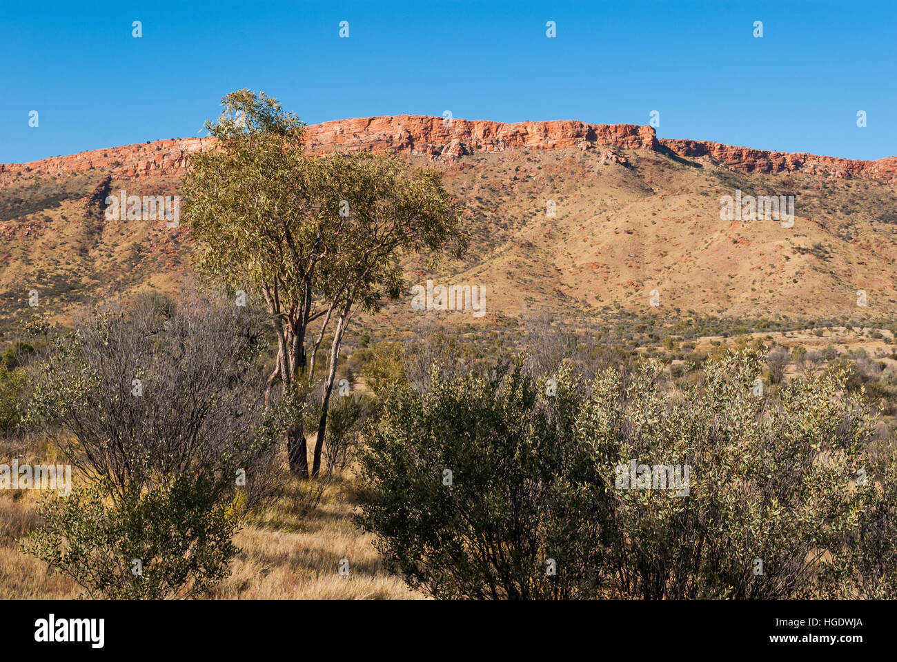 MacDonnell Ranges, Northern Territory, Australia Stock Photo