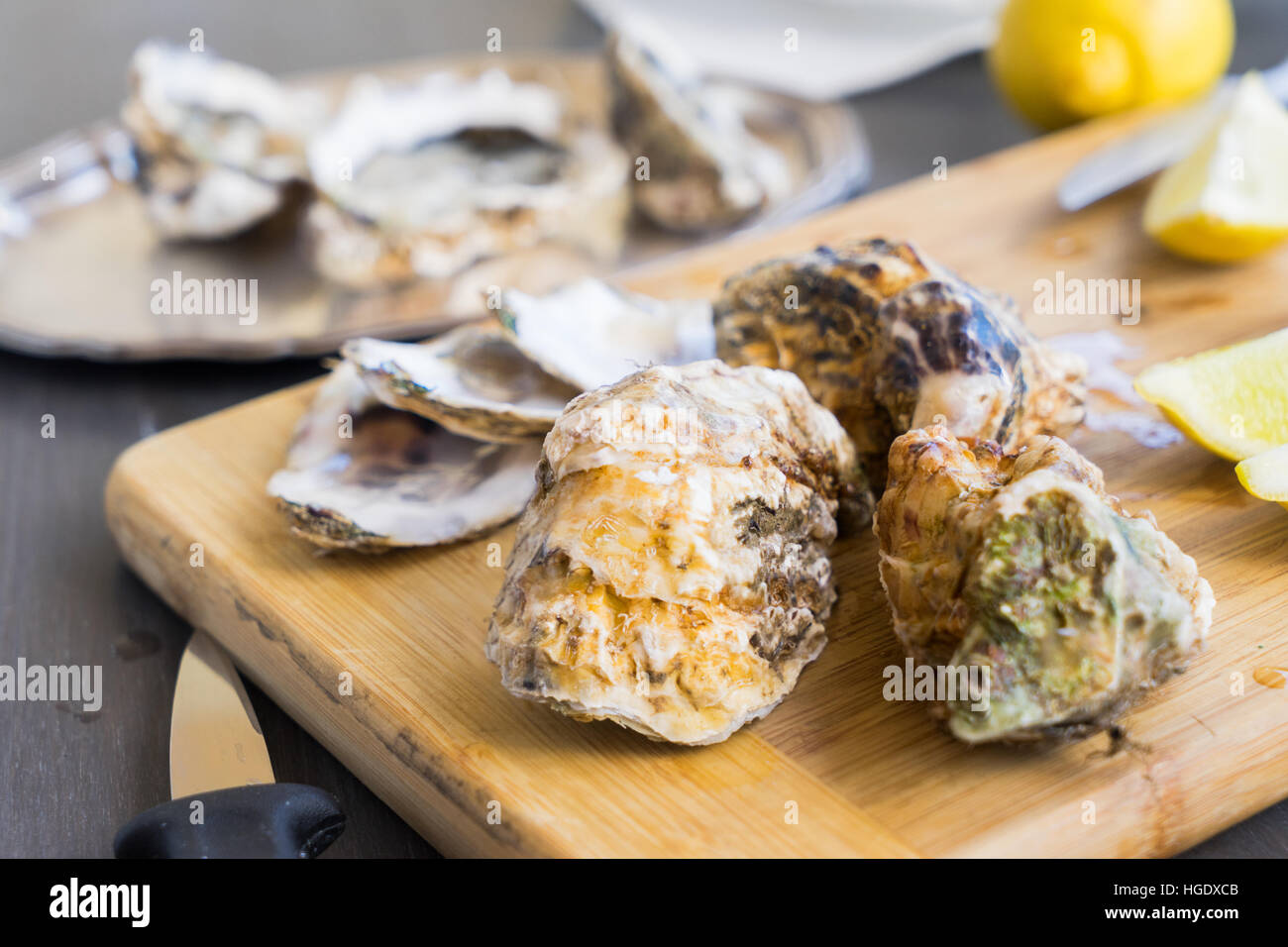 Raw oysters shells Stock Photo Alamy