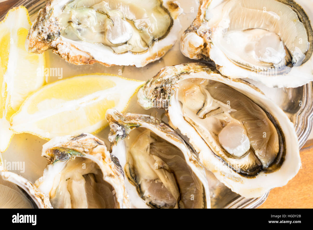 Raw oysters shells Stock Photo Alamy