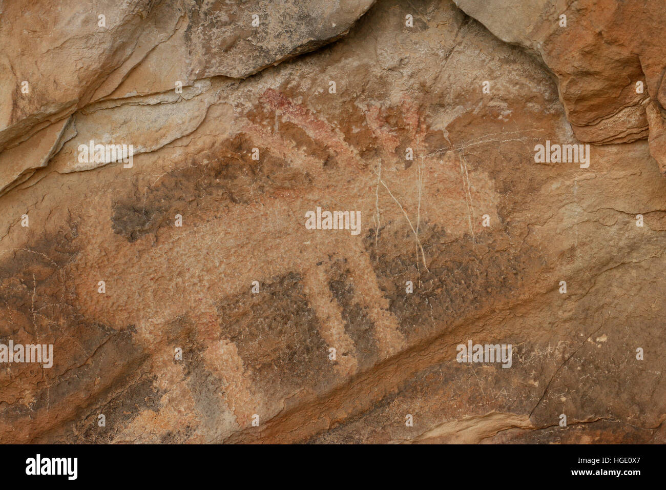 damage vandalism on Petroglyph sandstone rock Dinosaur National Monument Utah Stock Photo