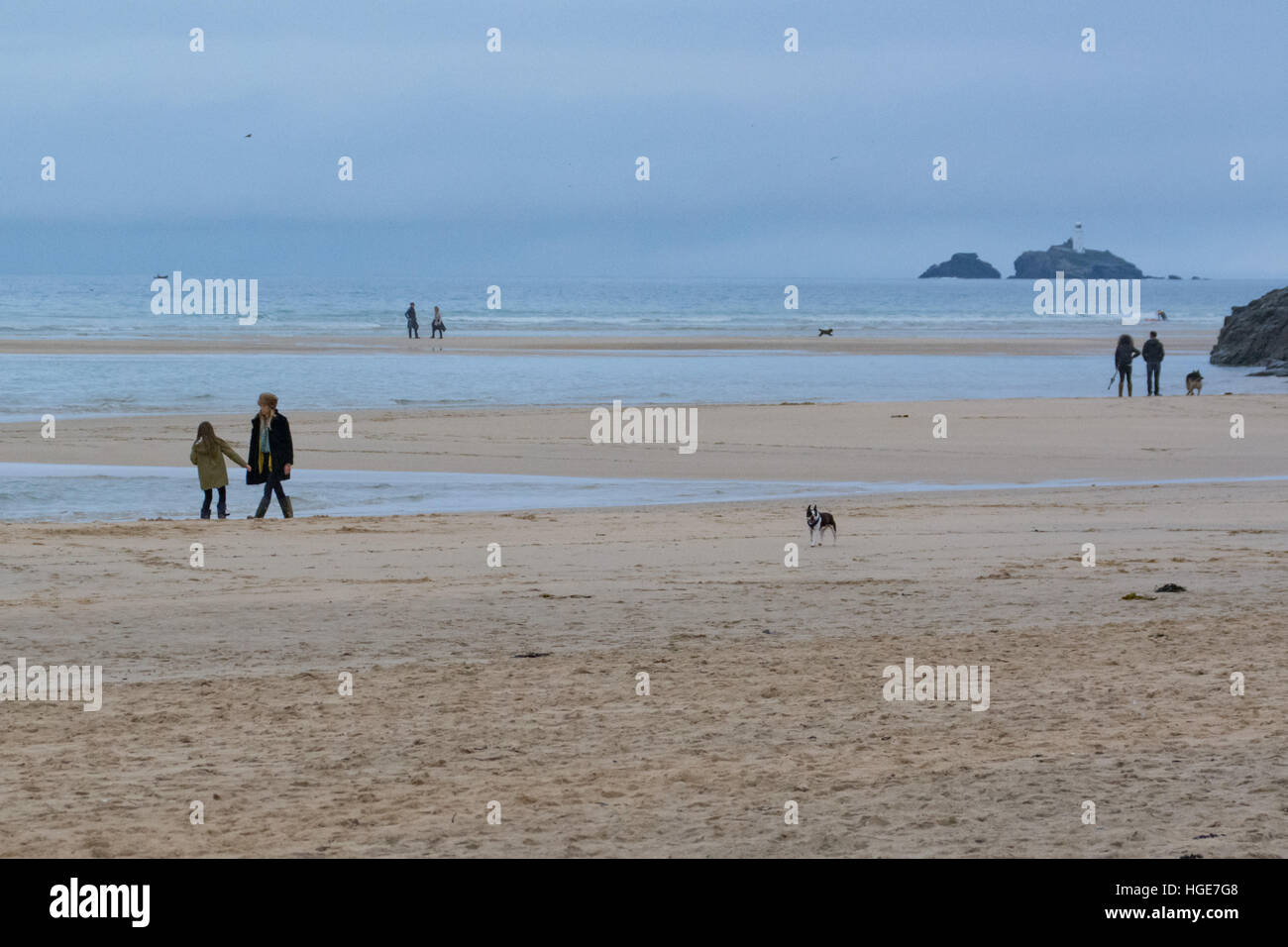 Hayle, Cornwall, UK. 8th January 2017. UK Weather. Mild temperatures persist in Cornwall, with 13 degrees, and rain starting to move in. Credit: cwallpix/Alamy Live News Stock Photo