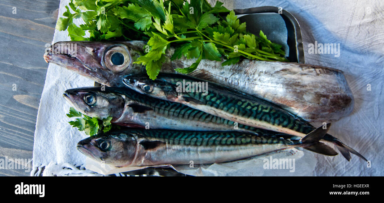 blue fish freshly caught great for a healthy diet ready to be cooked ...