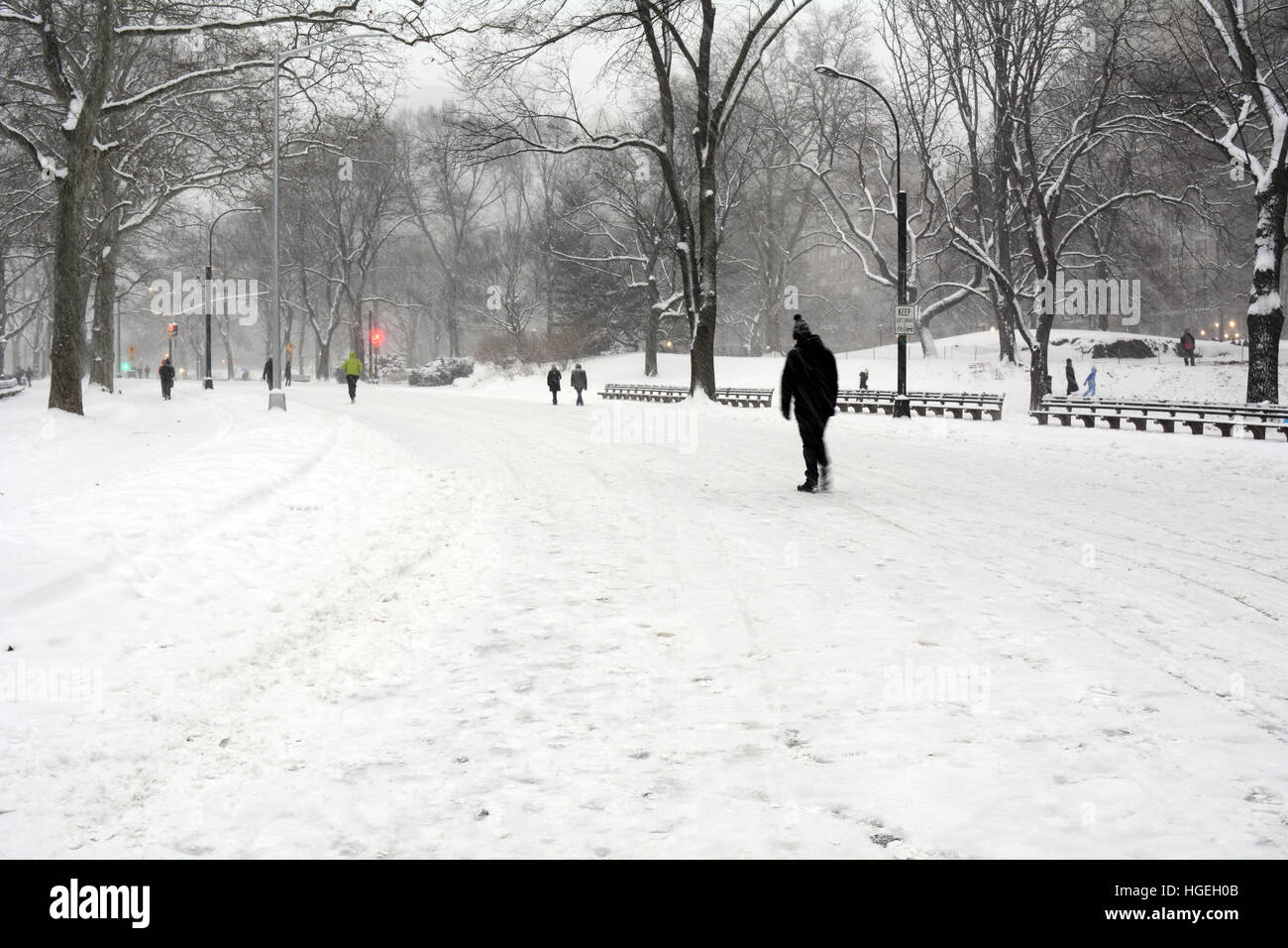 Central Park New York During a Snow Storm Stock Photo - Alamy