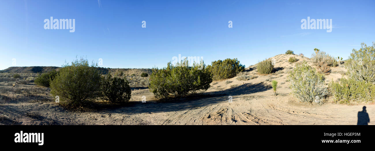 California desert wide shoot panoramic view Stock Photo