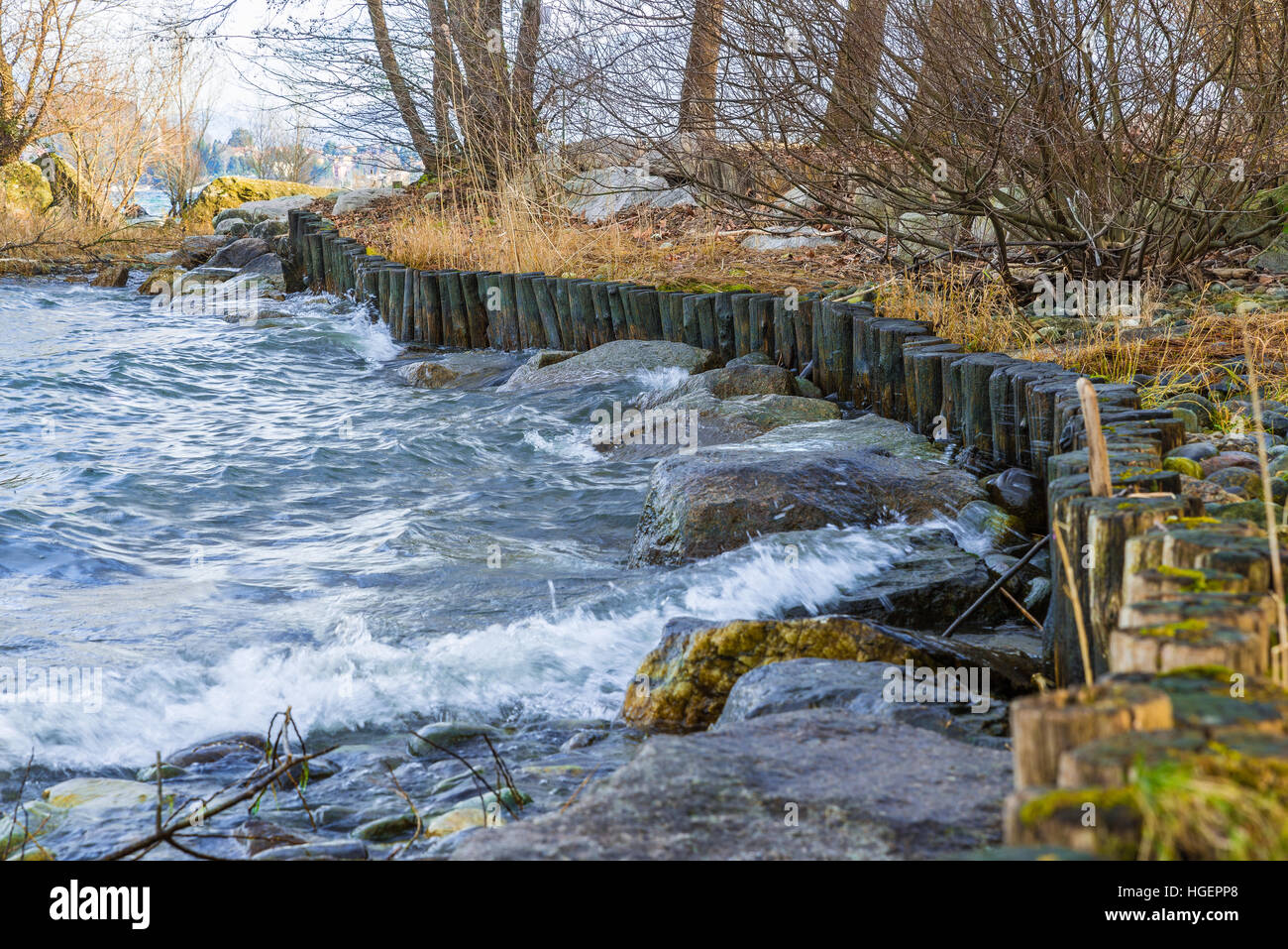 Natural engineering - soil bioengineering. Shore protection from water ...
