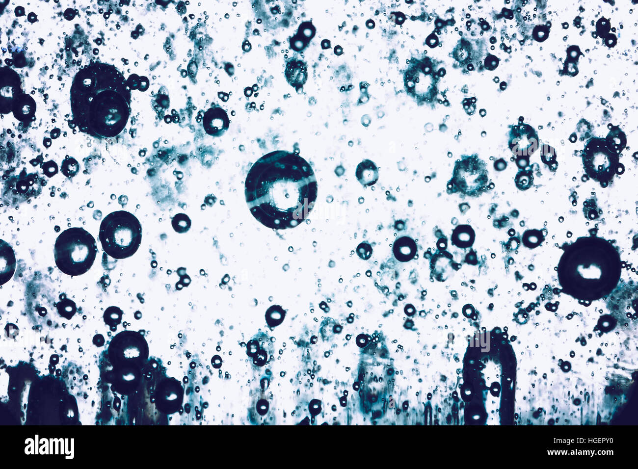 Soap bubbles on a white background Stock Photo - Alamy