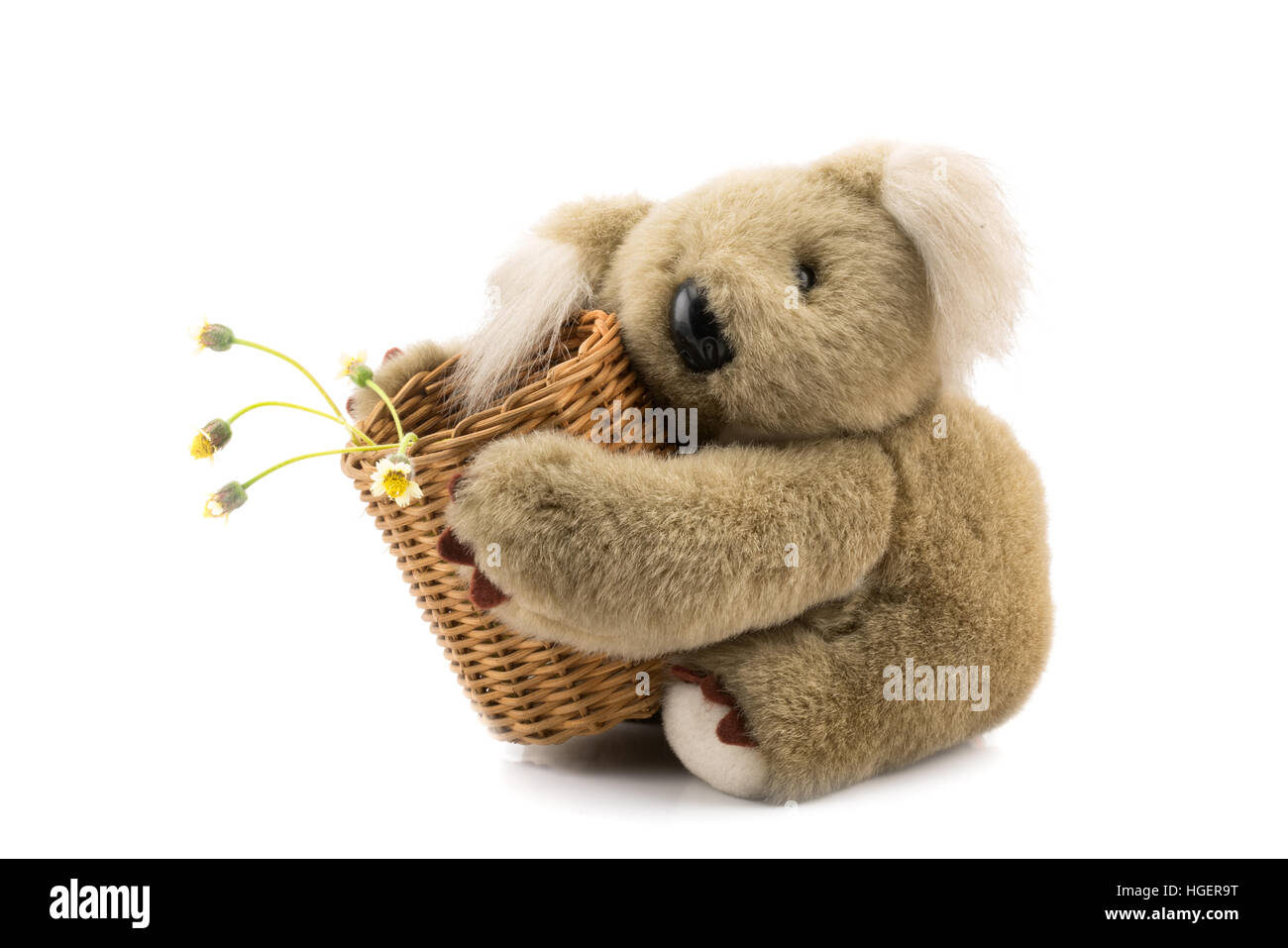 Teddy bear and bamboo basket of grass flowers on white background Stock ...