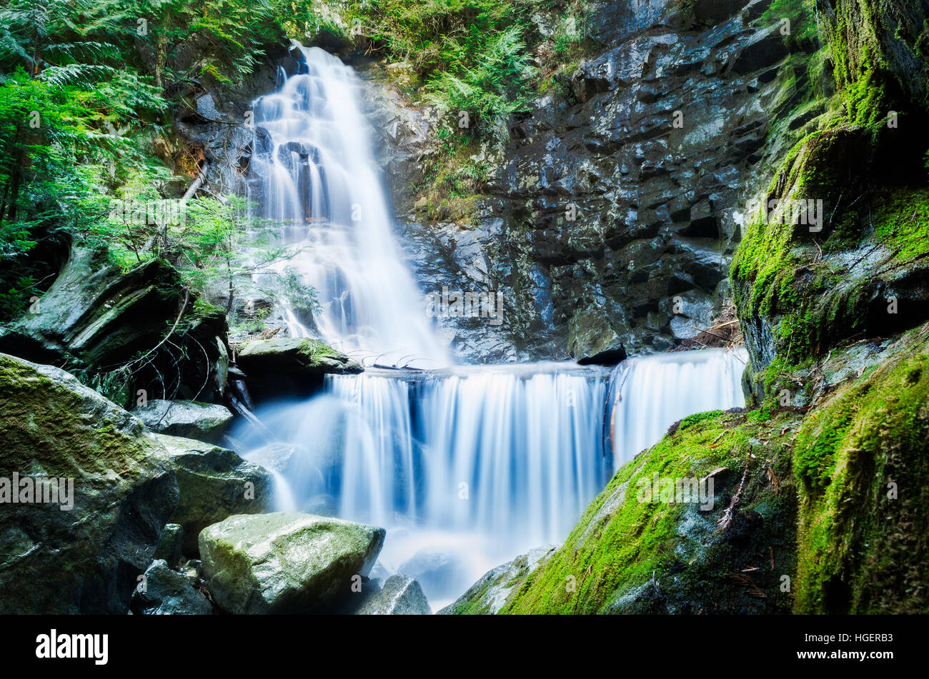 A waterfall cascading through lush green forest Stock Photo - Alamy