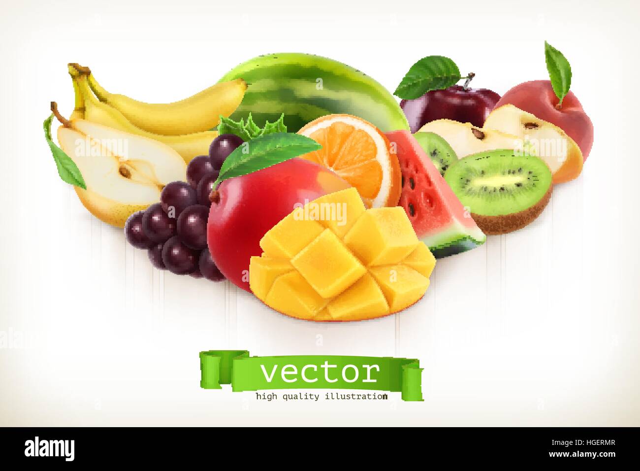 mango and juicy fruits vector illustration isolated on white stock