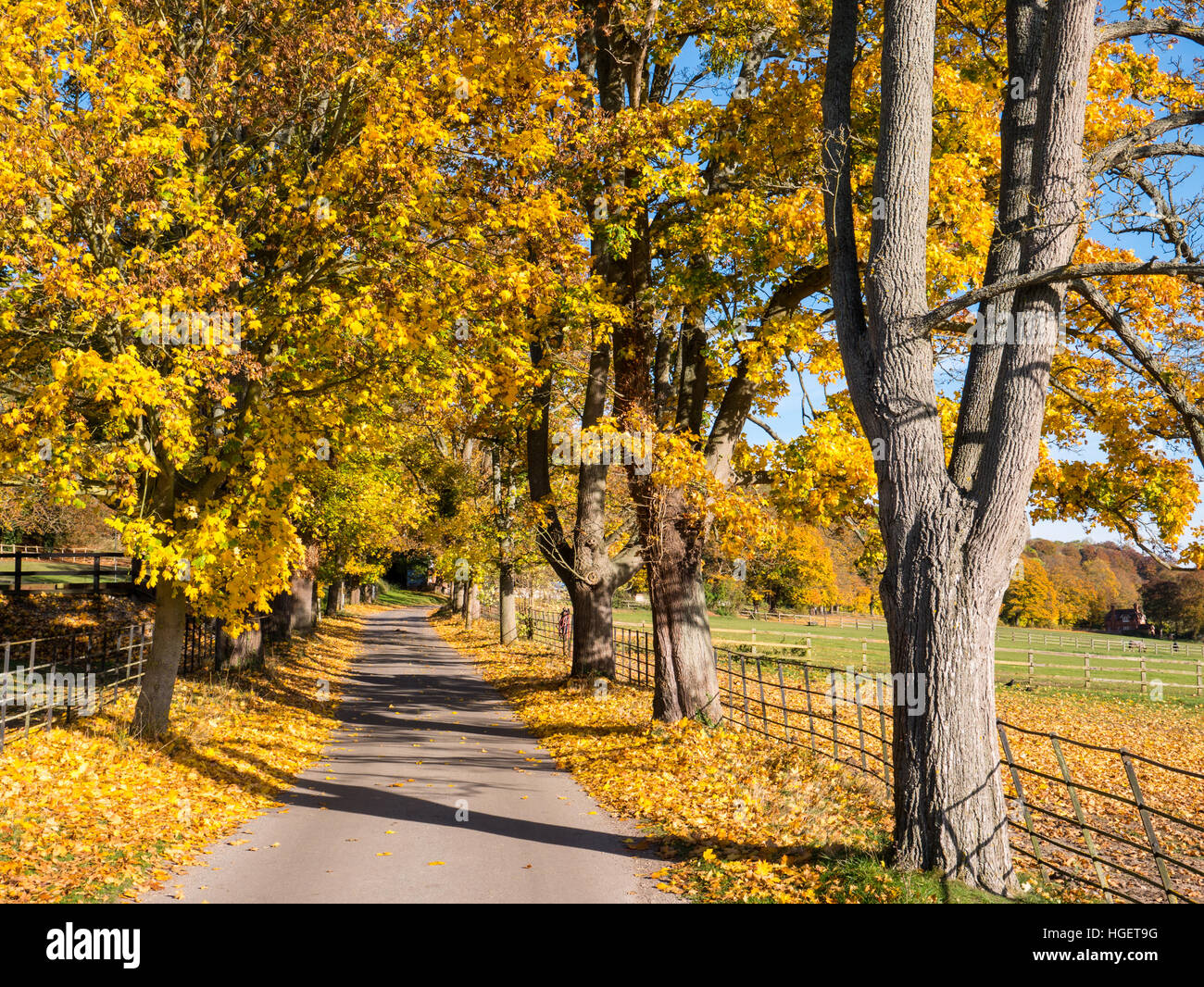 Countryside Hardwick Estate, Hardwick, Oxfordshire, England, UK, GB Stock Photo Alamy