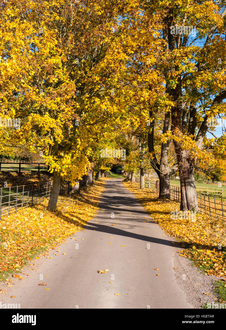 Countryside Hardwick Estate, Hardwick, Oxfordshire, England, UK, GB Stock Photo Alamy