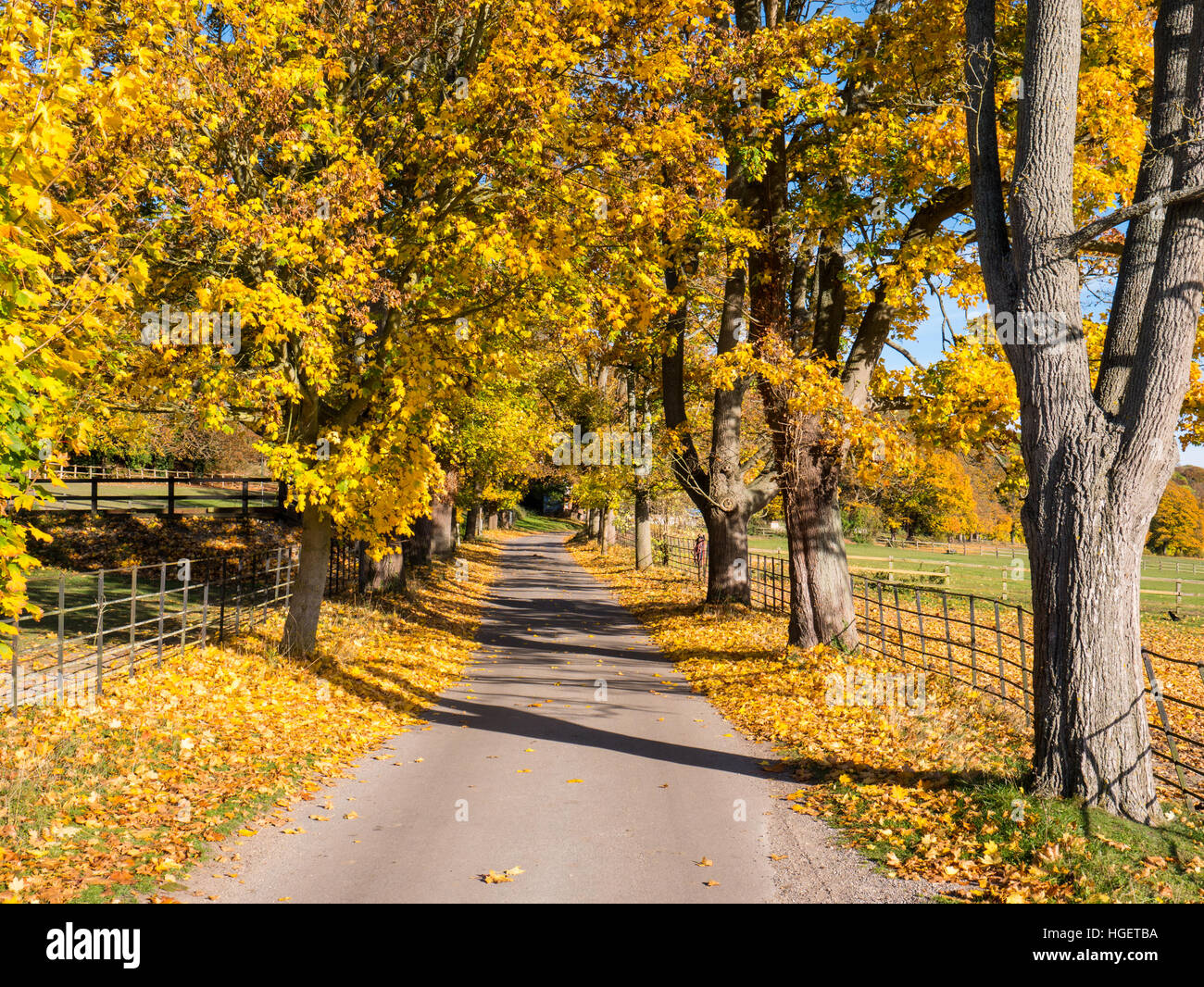 Countryside Hardwick Estate, Hardwick, Oxfordshire, England, UK, GB Stock Photo Alamy