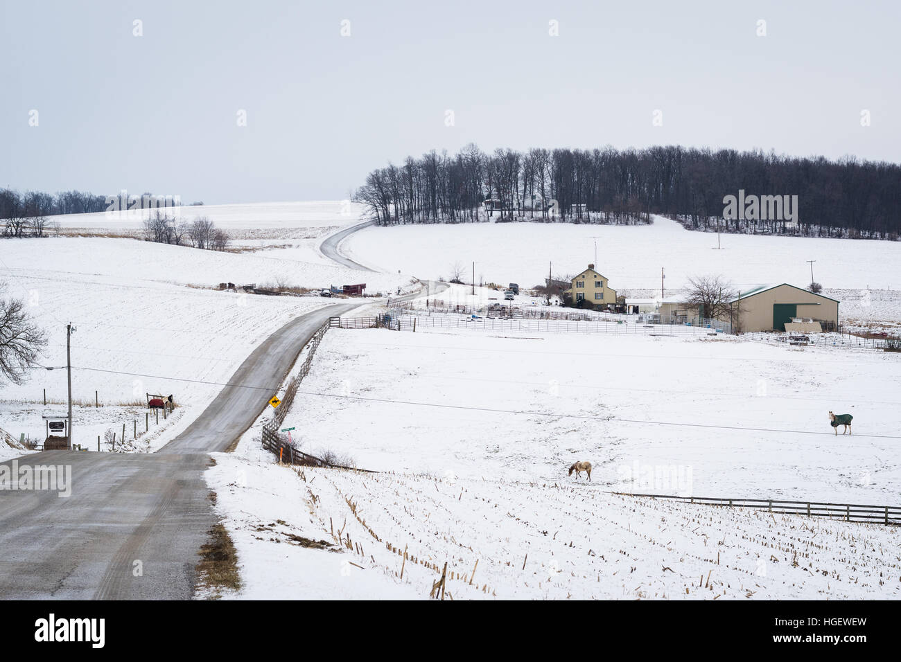 Road and view of snow covered farms and rolling hills, near Jefferson, Pennsylvania. Stock Photo