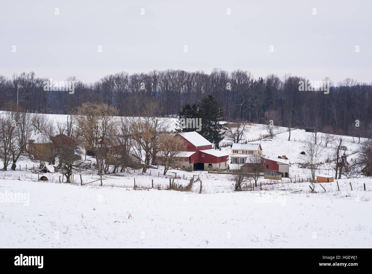 New freedom hires stock photography and images Alamy
