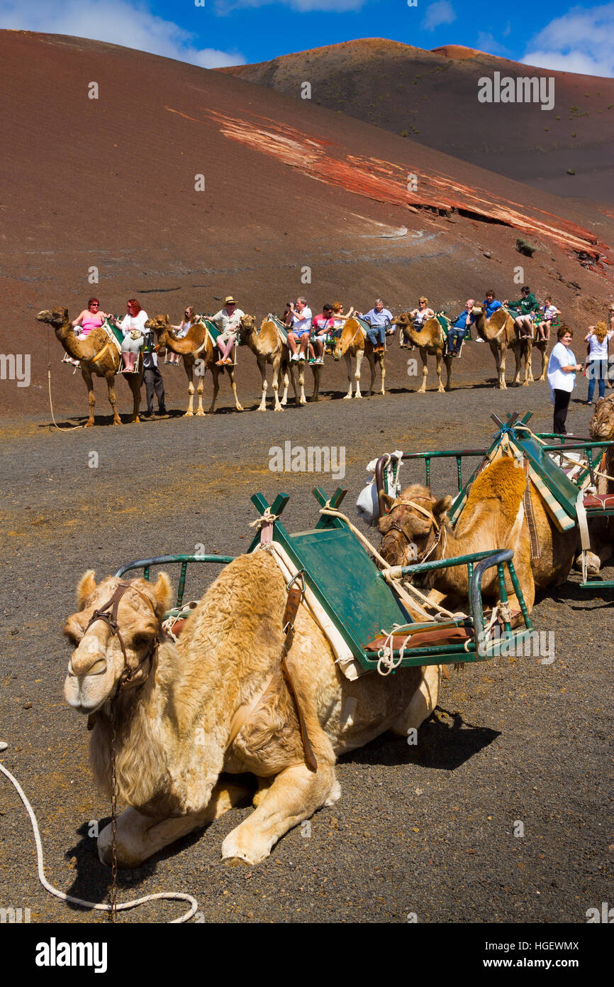 Camel tourism spain hi-res stock photography and images - Alamy