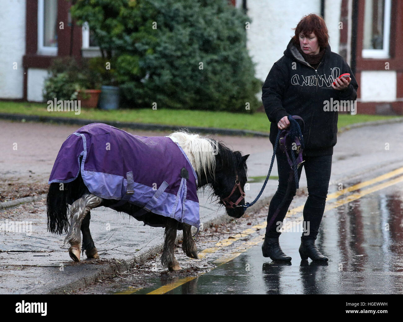 Nemo, a Shetland pony, is rescued by the Scottish Fire and Rescue Service after it became stranded in a swollen river near Lochard Road, Aberfoyle. Stock Photo
