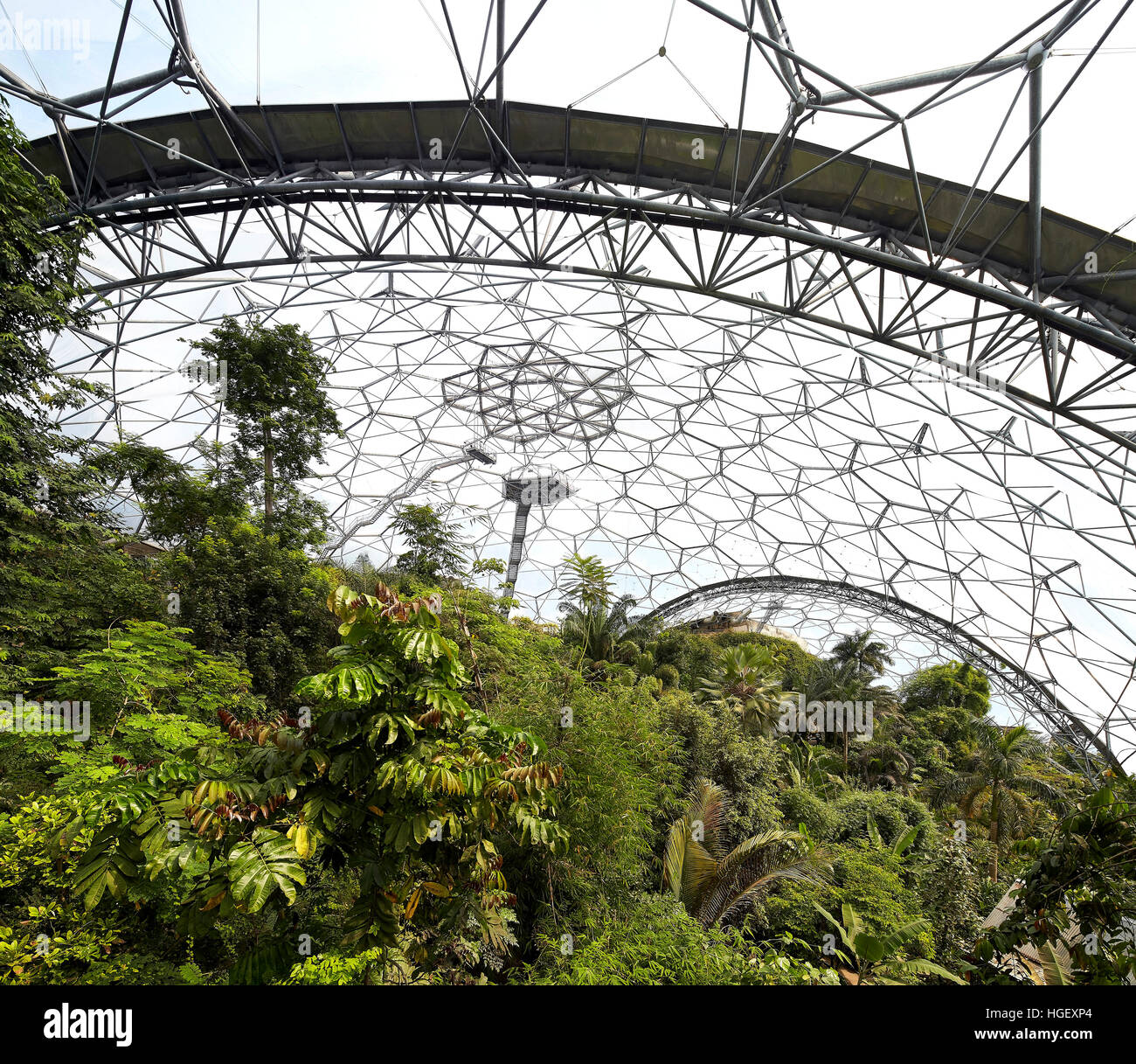 Interior of dome with rainforest plants. Eden Project, Bodelva, United Kingdom. Architect: Grimshaw, 2016. Stock Photo