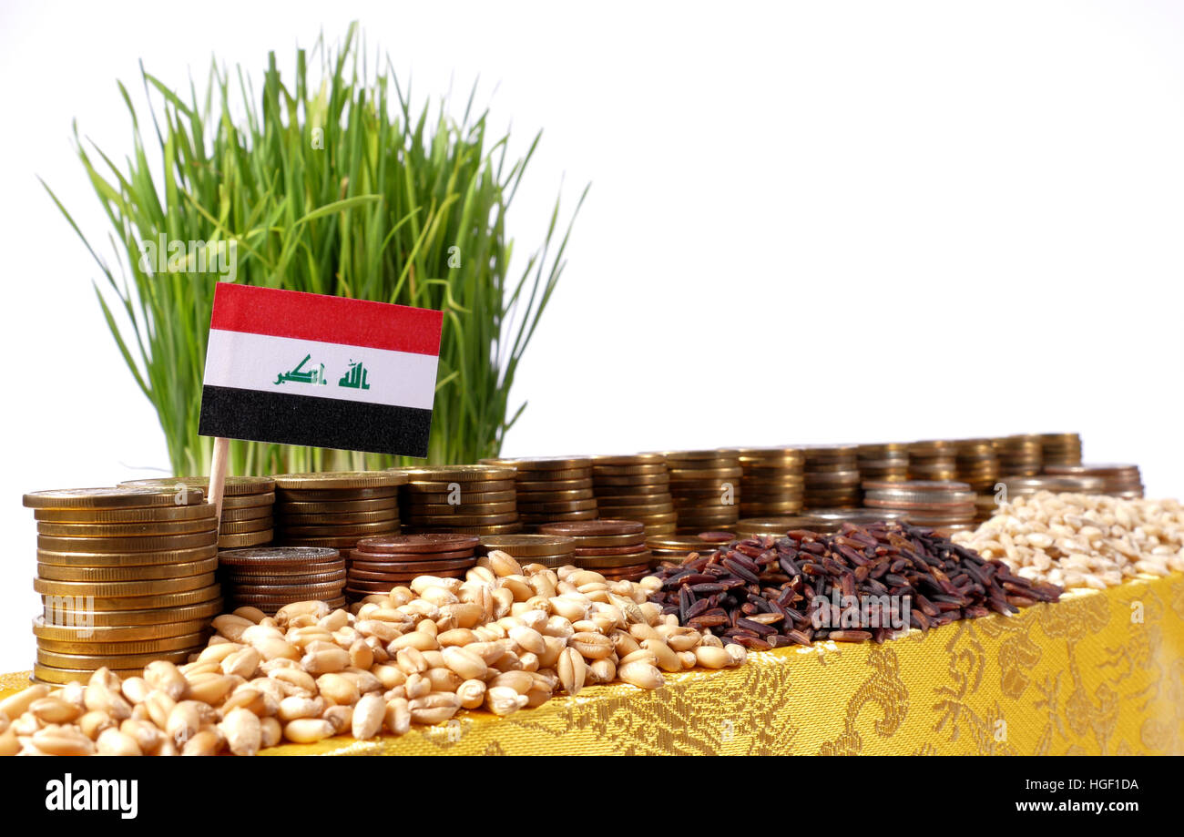Iraq flag waving with stack of money coins and piles of wheat and rice seeds Stock Photo