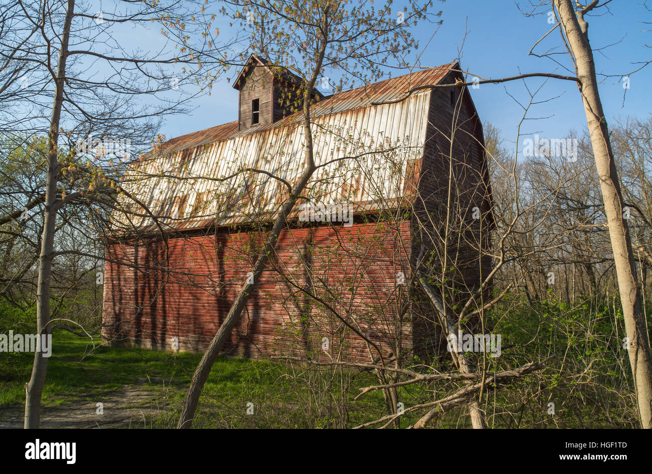 Old rustic red barn in the Illinois woods Stock Photo - Alamy