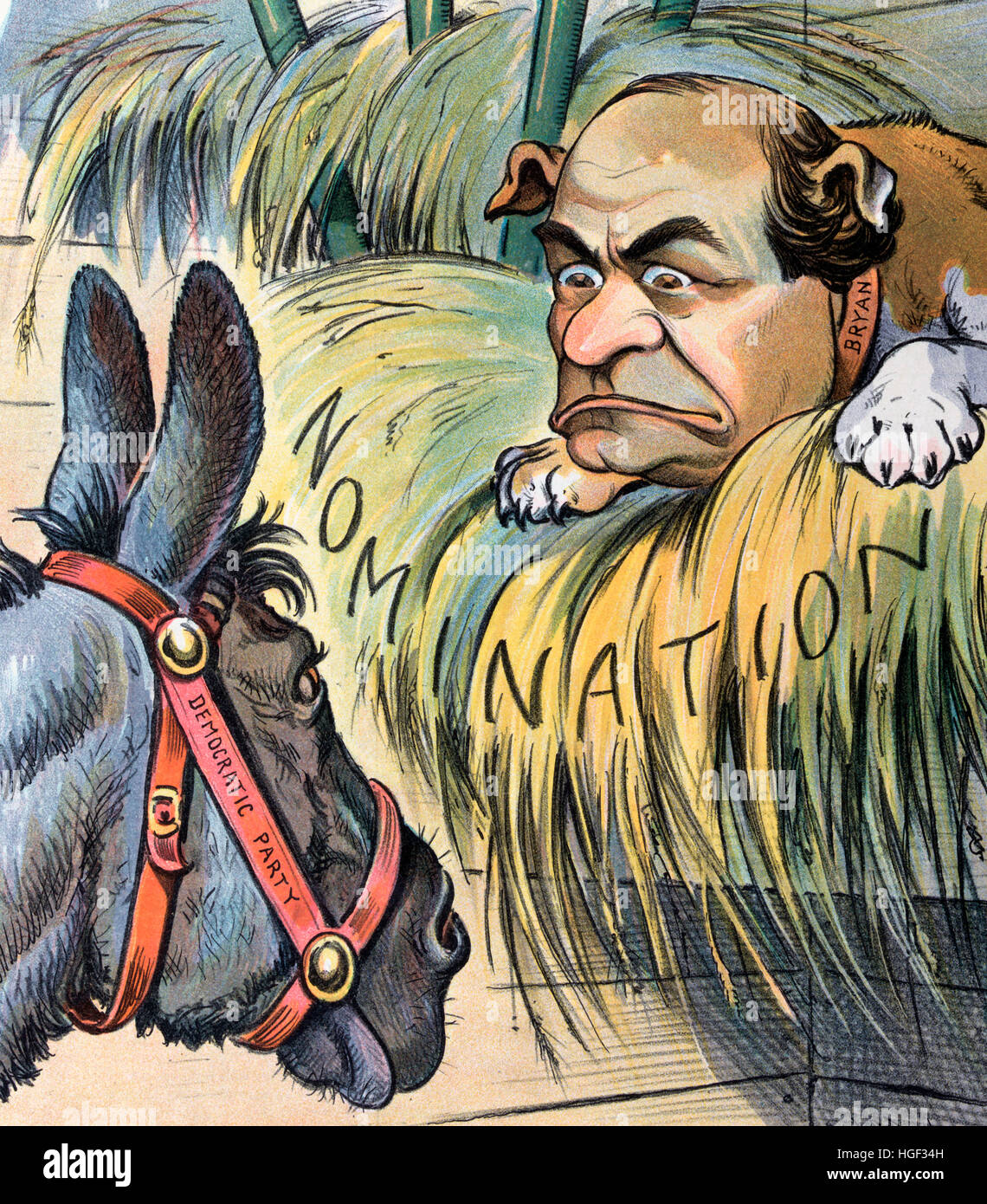 The dog in the manger   Political Cartoon shows a donkey labeled 'Democratic Party' staring at a dog labeled 'Bryan' with the face of William Jennings Bryan, lying on a bed of hay labeled 'Nomination'. Stock Photo