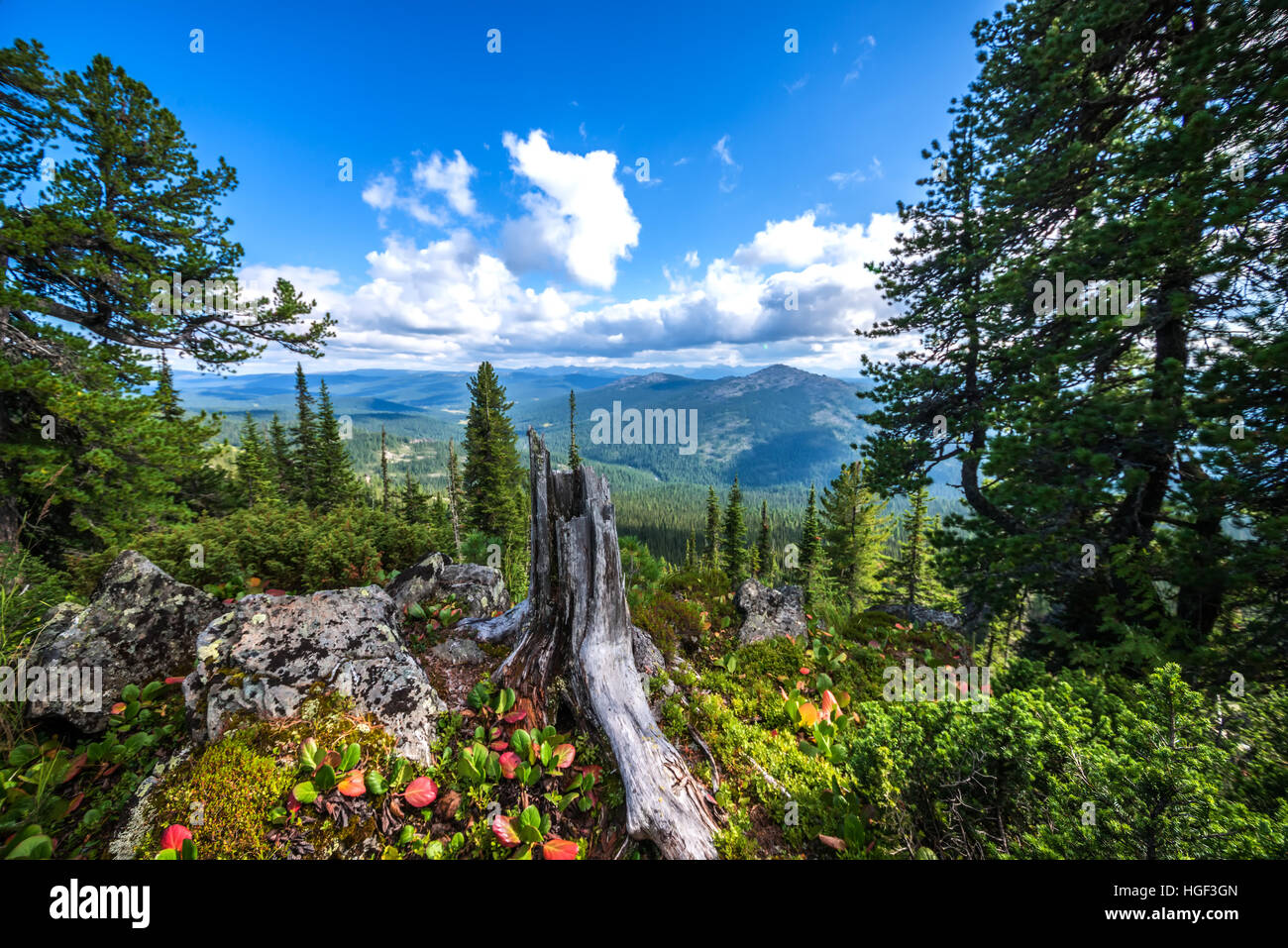 Beautiful landscape with mountains and autumn trees Stock Photo - Alamy