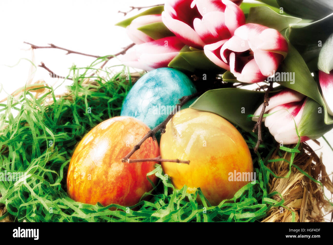 Easter nest with colourful eggs and tulips Stock Photo - Alamy