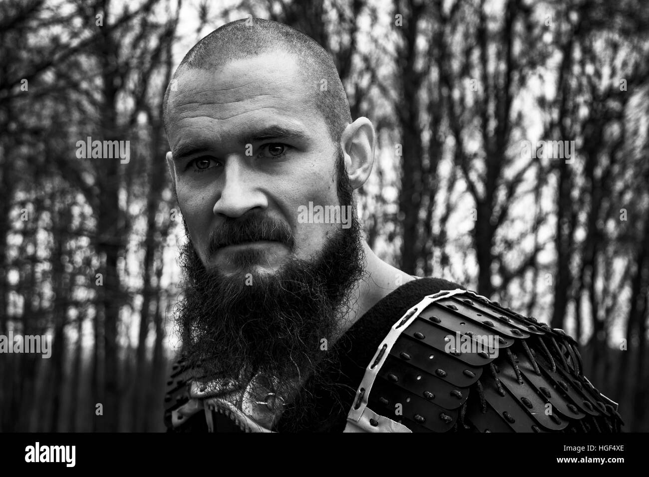 The viking warrior. Shot in Denmark Stock Photo Alamy