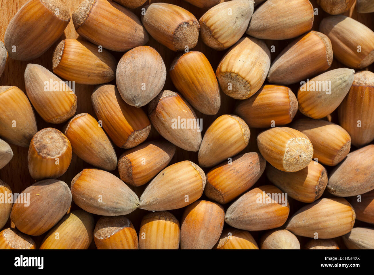 Hazelnuts (Corylus avellana), Germany Stock Photo Alamy