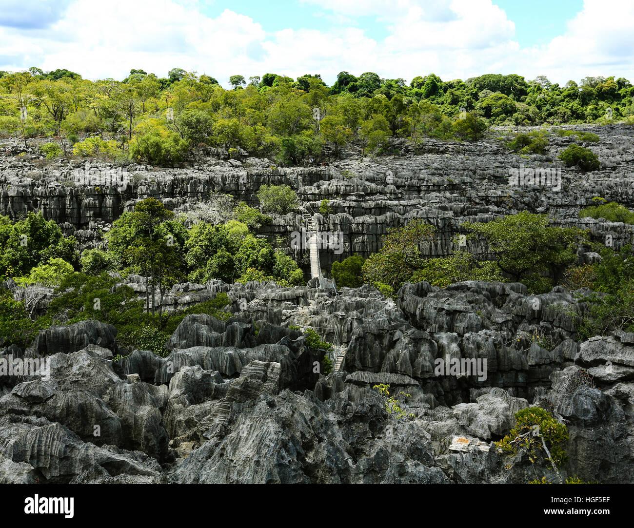 Tsingy de Ankarana National Park, karst landscape with Jurassic era limestone, Ankarana Reserve, Madagascar Stock Photo
