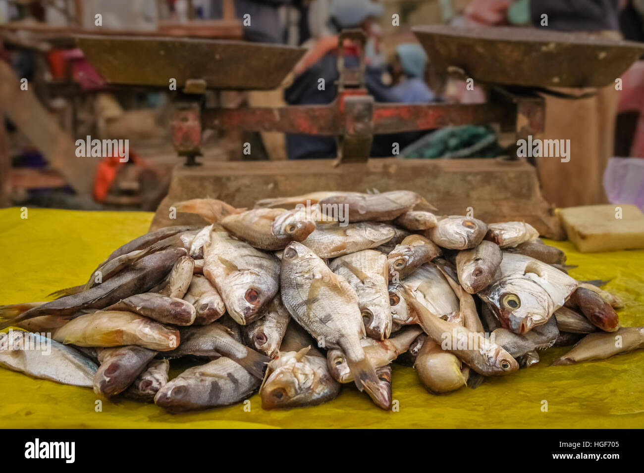 Fish for sale in a Madagascar market Stock Photo
