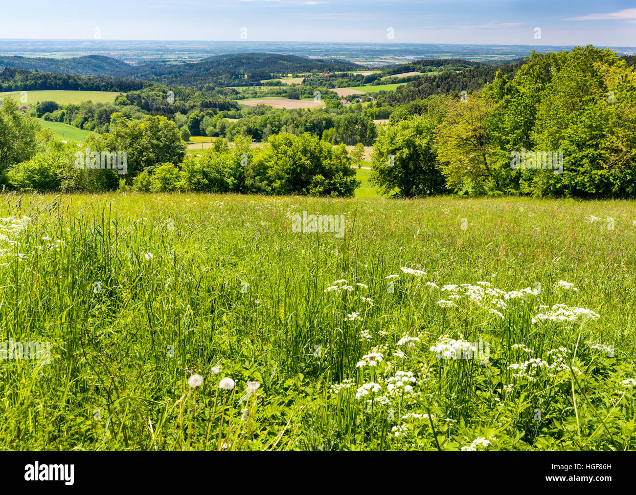 Bavarian Forest, spring summer, green meadows hill trees flowers flowers neat clean. Breathe. Fresh air, holiday, region, touris Stock Photo