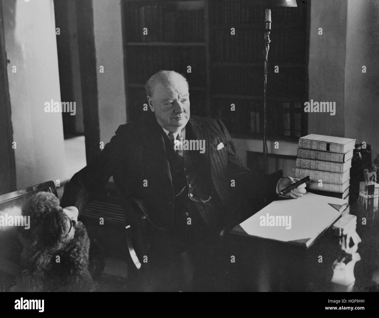 Winston Churchill working on papers in his library at Chartwell with his pet dog 'Rufus' at his side. 1948 Stock Photo