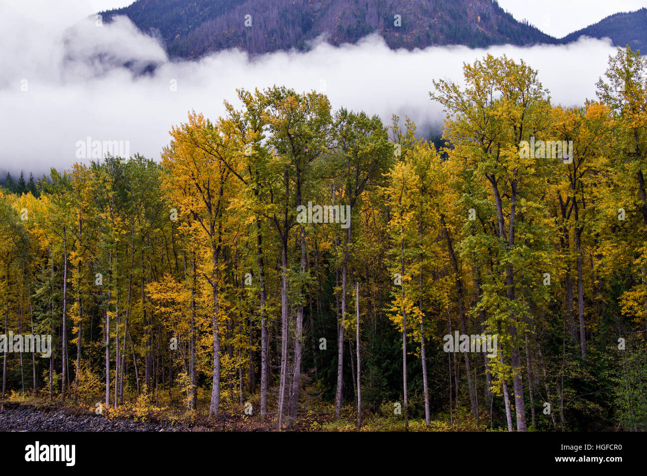 tweedsmuir provincial park, bc, Canada Stock Photo