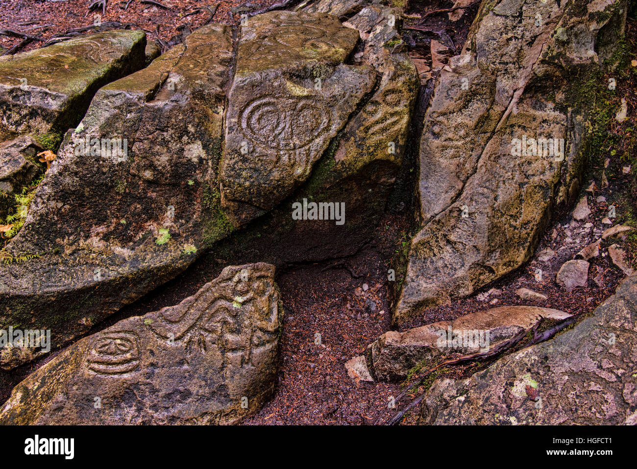 bella coola petroglyphs, bc, Canada Stock Photo