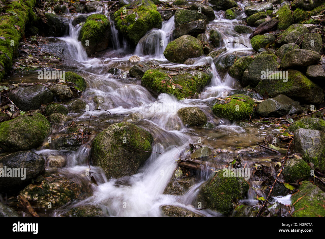 mountain stream, bc, Canada Stock Photo