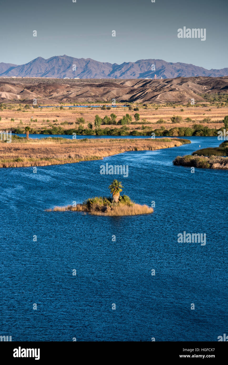 palm tree island, squaw lake recreation area, Arizona Stock Photo