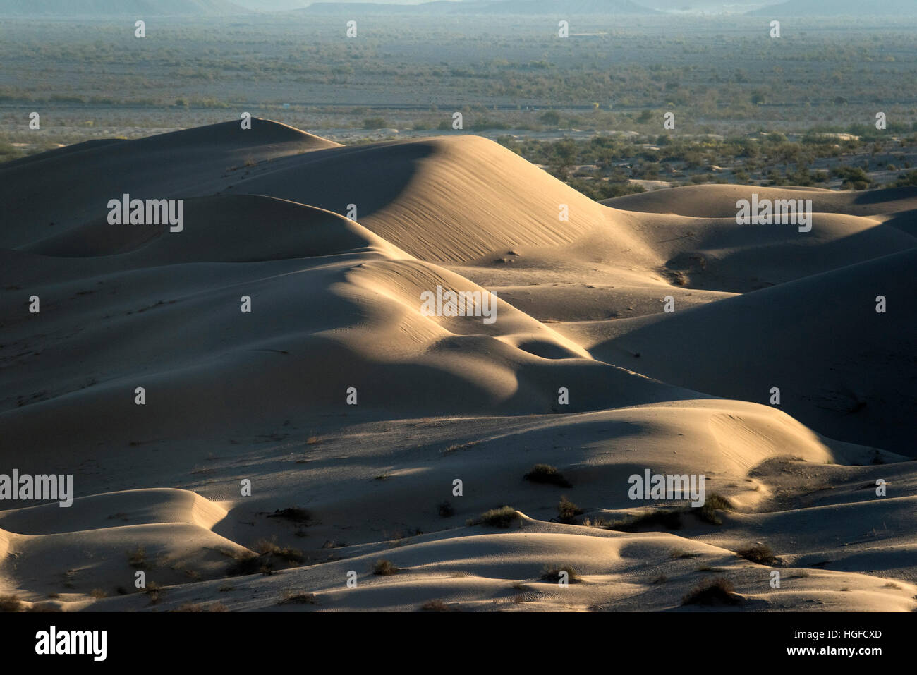 imperial, algodones, sand dunes, California Stock Photo