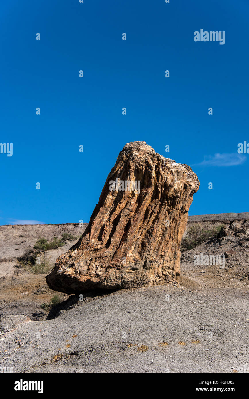 petrified log, Theodore Roosevelt national park, north Dakota Stock Photo