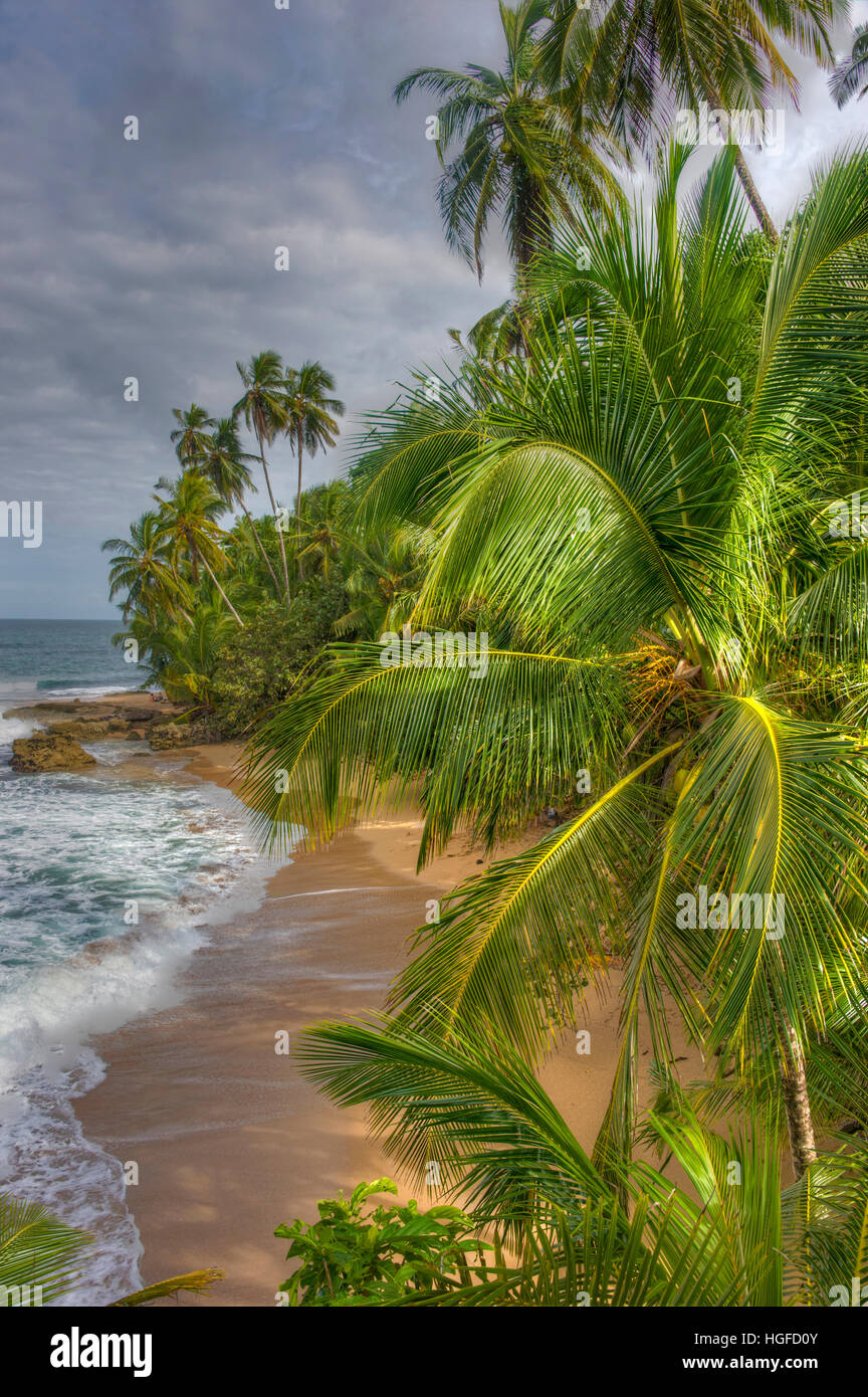 tropical beach, Costa Rica, Stock Photo