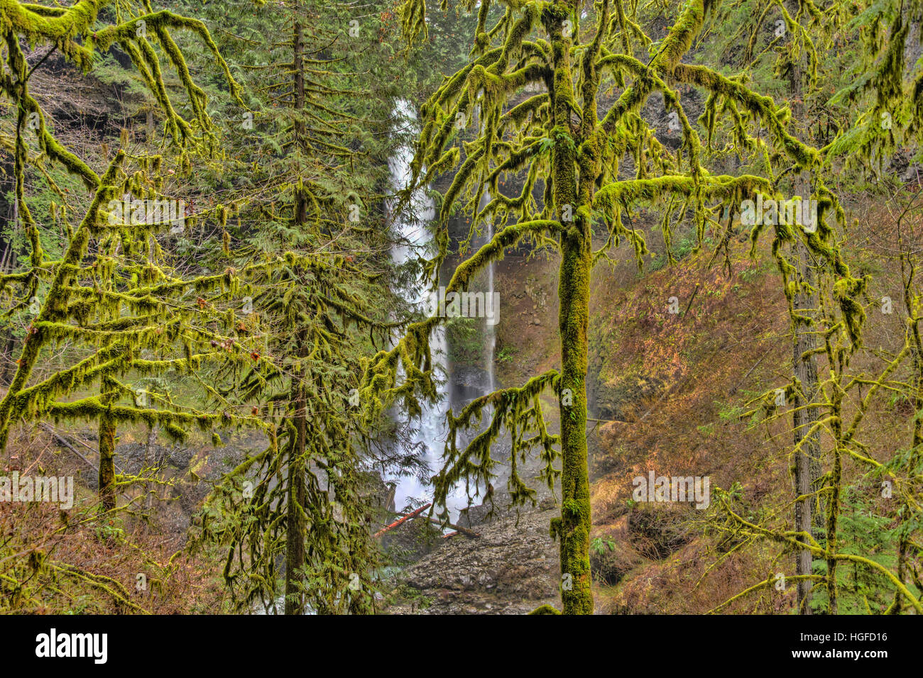 silver falls state park, Oregon Stock Photo