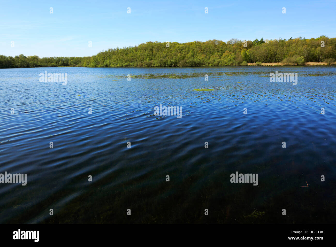 Nature reserve Krickenbecker lakes, Nettetal, Lower Rhine, North Rhine-Westphalia Stock Photo