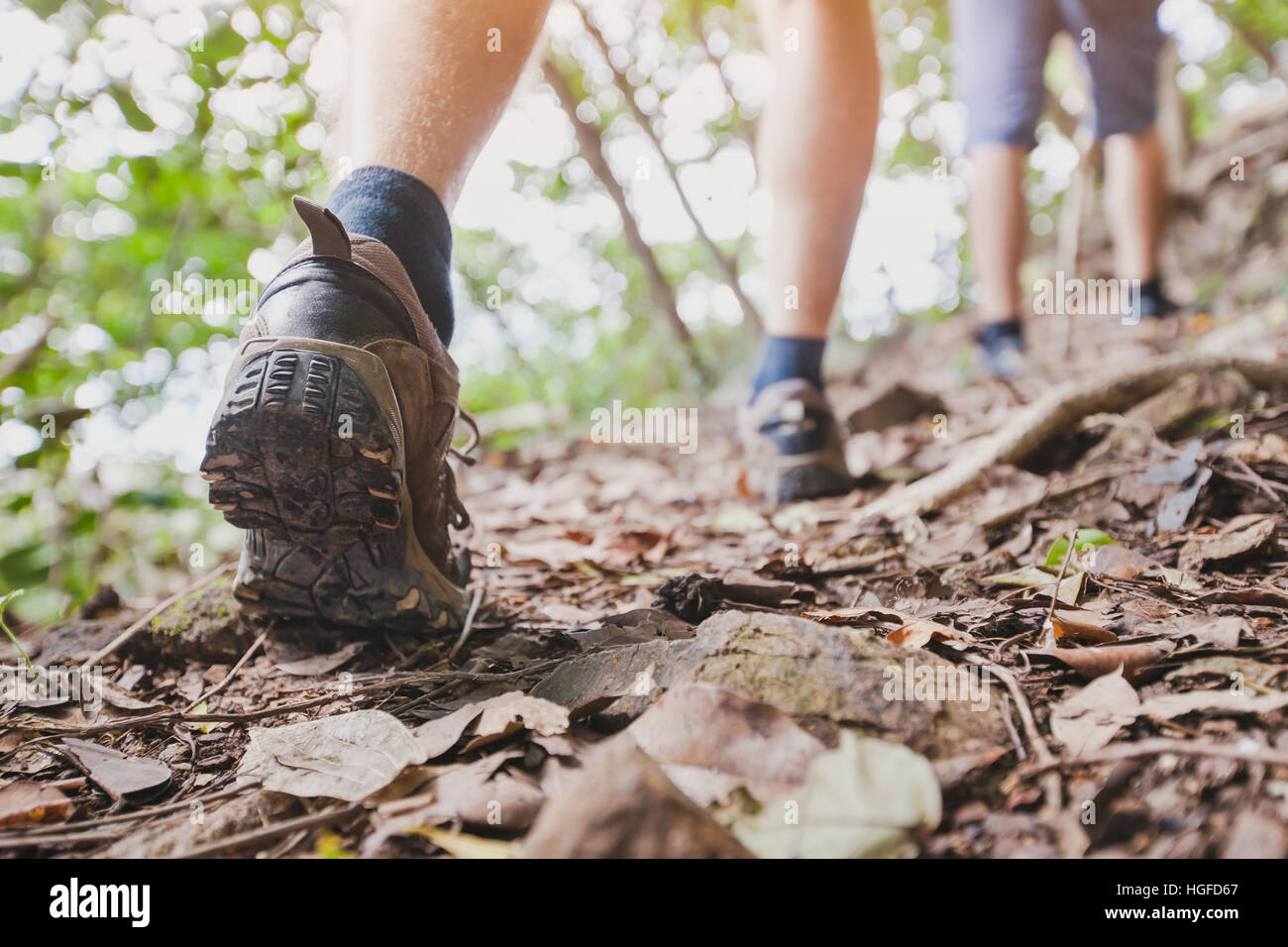 jungle trekking, group of hikers backpackers walking together outdoors in the forest, close up of feet, hiking shoes Stock Photo