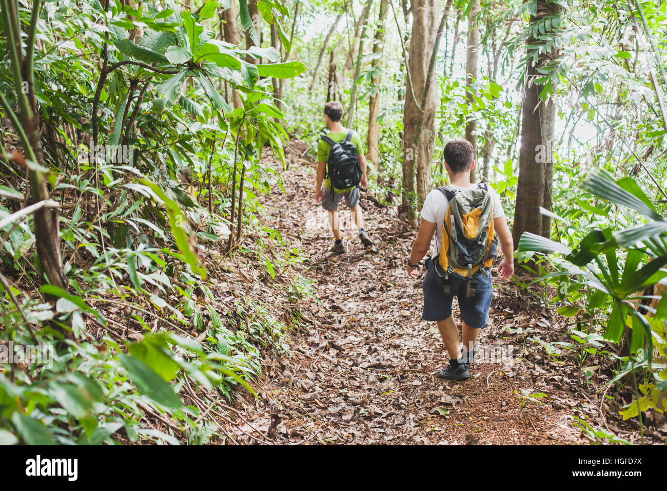 people hiking with backpacks, jungle trekking, group of tourists backpackers walking in the forest Stock Photo