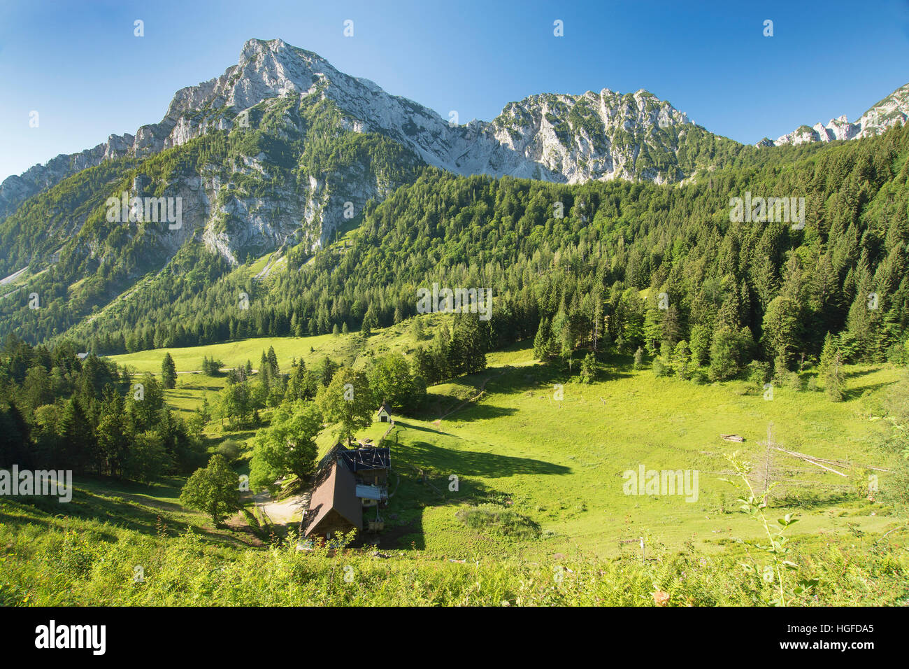 Look over the Steiner alp with the Hochstaufen in the background Stock Photo