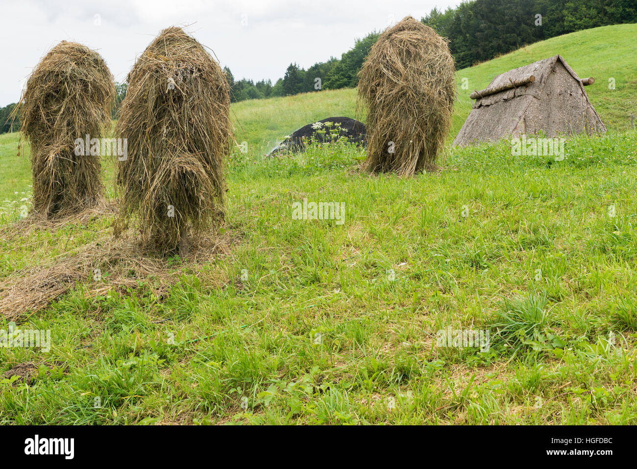 Charcoal pile and hut in  Neukirchen Stock Photo