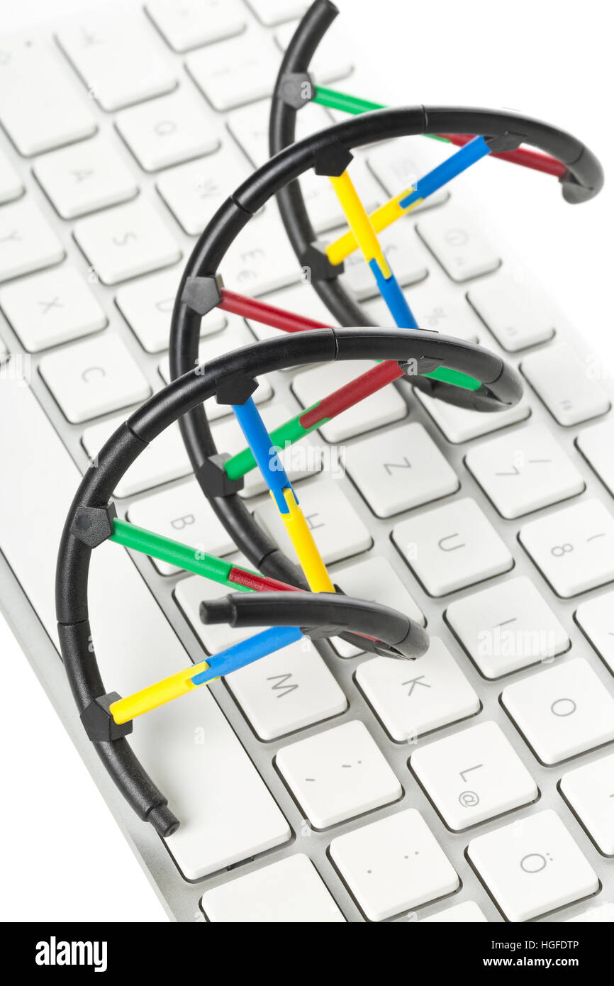 DNA molecule model on computer keyboard. Artificial intelligence ...