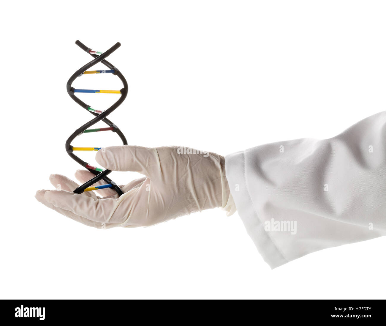 Researcher with glove holding DNA molecule model isolated on white background Stock Photo