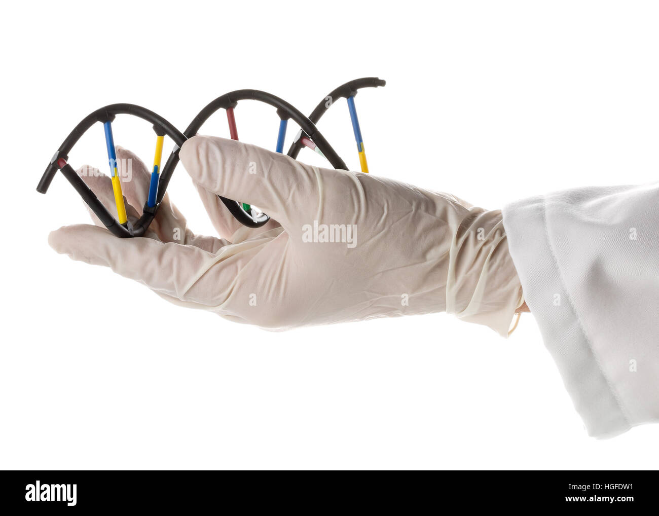 Researcher with glove holding DNA molecule model isolated on white background Stock Photo